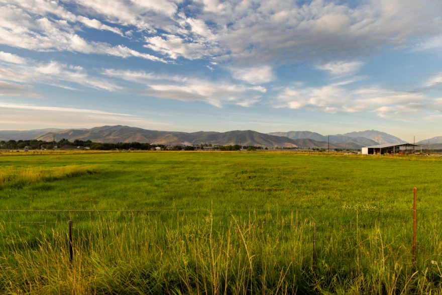 Open green pasture behind a wire fence, with mountains under a wide sky